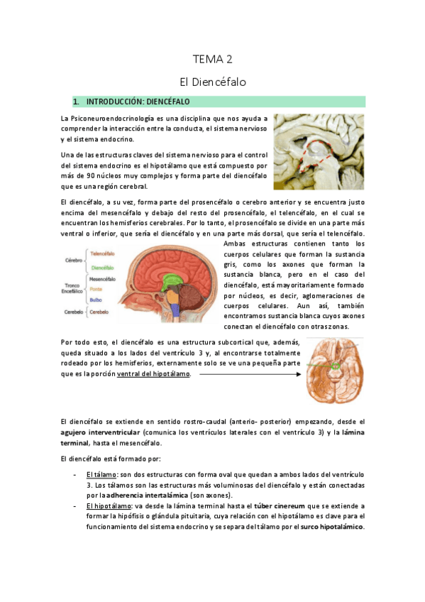 Miniatura del documento TEMA-2.pdf