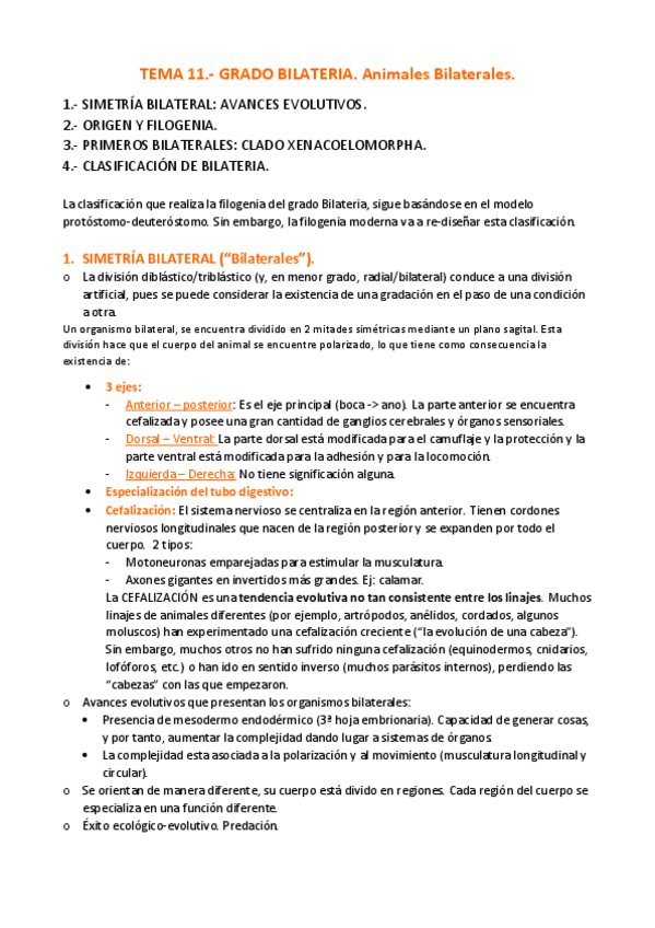 Miniatura del documento APUNTES-T.pdf