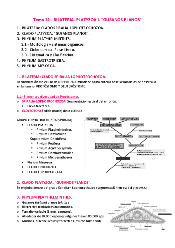 Miniatura del documento APUNTES-T.pdf