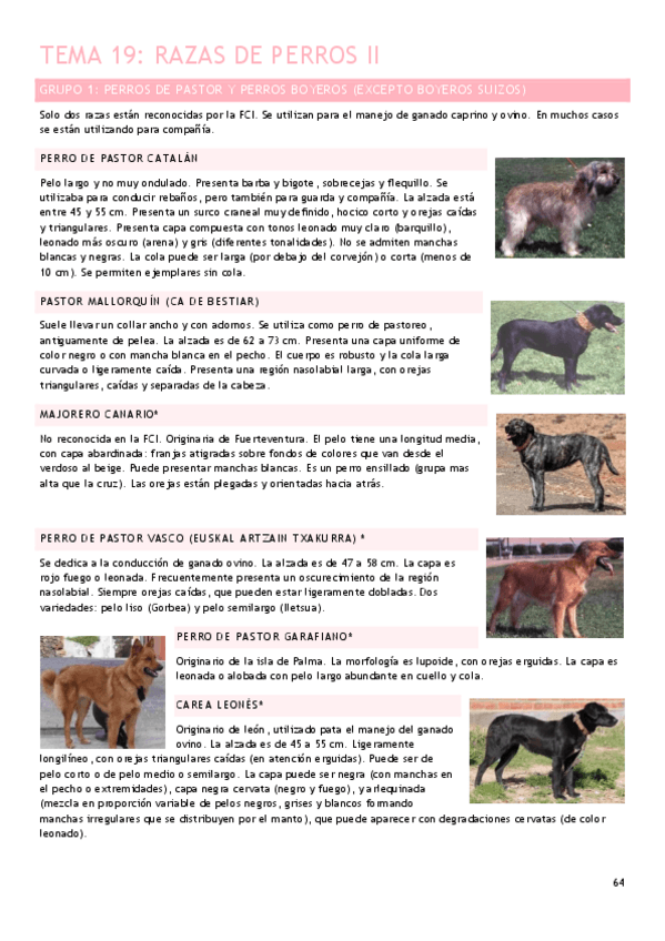 Miniatura del documento Tema-19.pdf