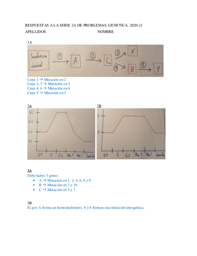 Miniatura del documento Respuestas-Serie-2A.pdf