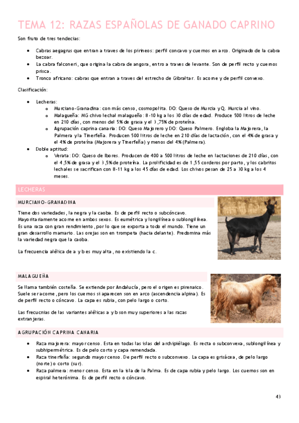 Miniatura del documento Tema-12.pdf