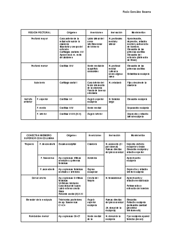 Miniatura del documento Tablas-musculos-miembro-superior-3.pdf