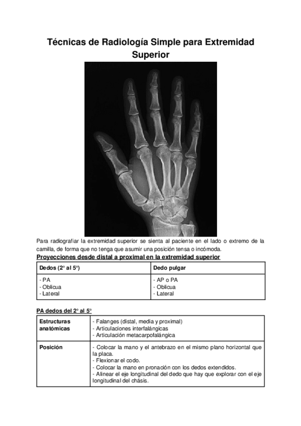 Miniatura del documento RS-Extremidad-Superior.docx