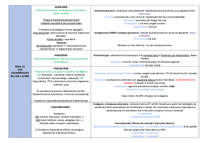 Miniatura del documento Vies colinergiques del SNC i altres
