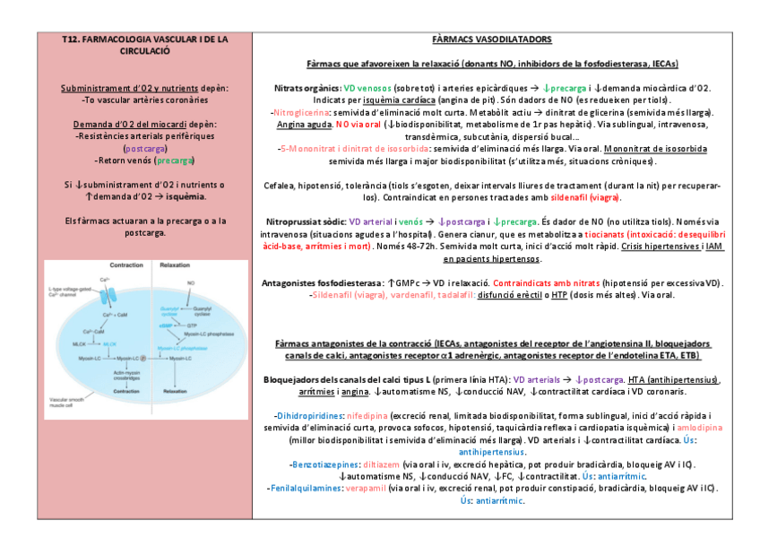 Miniatura del documento Farmacologia vascular i de la circulació