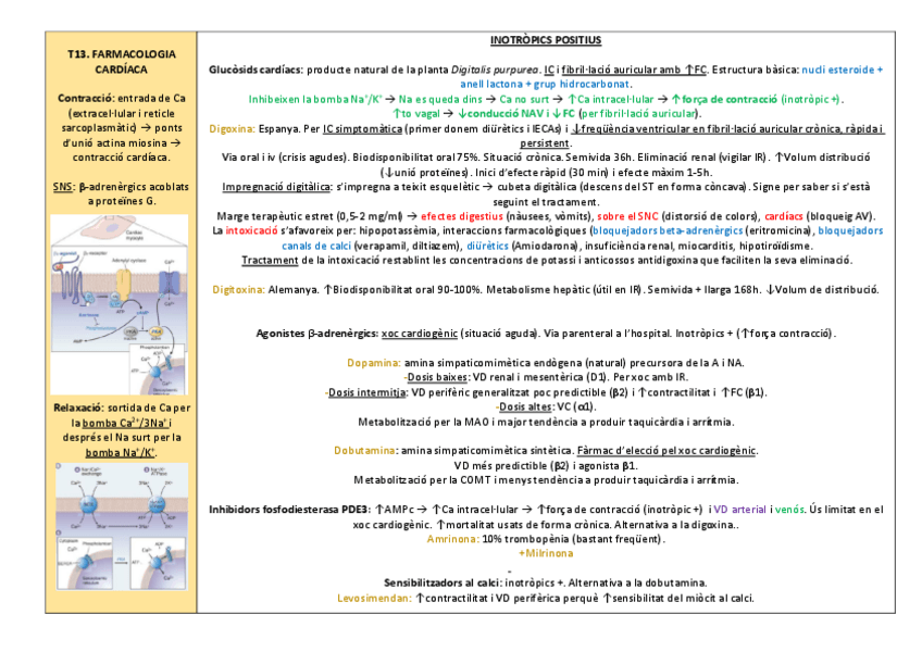 Miniatura del documento Farmacologia-cardiaca.pdf