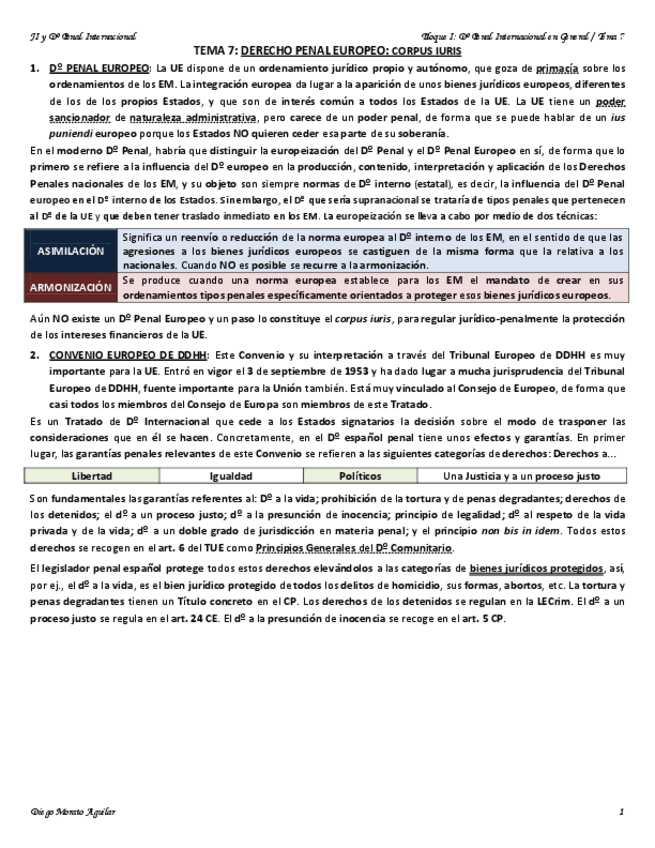 Miniatura del documento TEMA 7 PENAL INTERNACIONAL.pdf