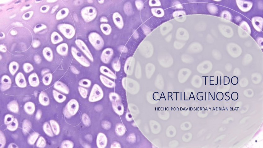 Miniatura del documento Tejido-Cartilaginoso.pdf