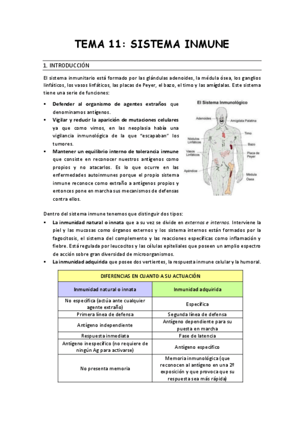 Miniatura del documento Resumen-tema-11.pdf