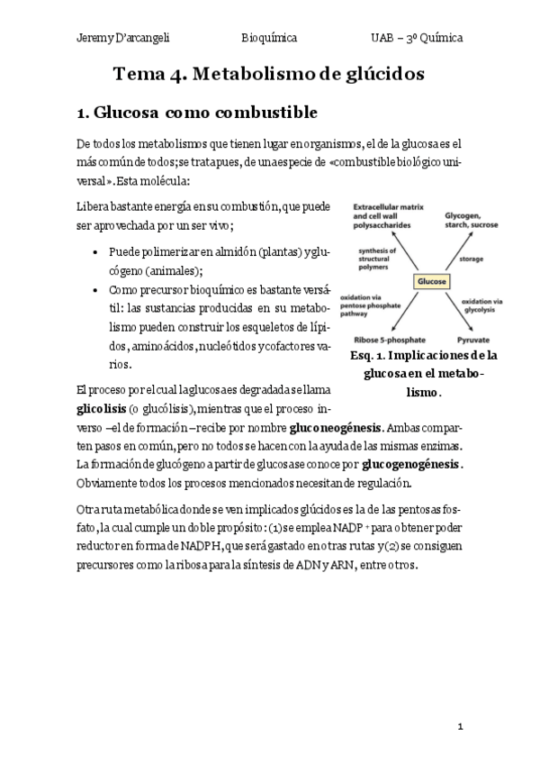 Miniatura del documento Teoria-T4-BIO.pdf