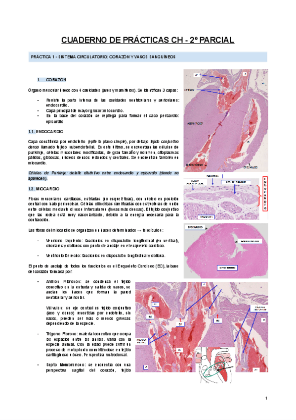 Miniatura del documento CUADERNO-DE-PRACTICAS-CH-2o-PARCIAL.pdf