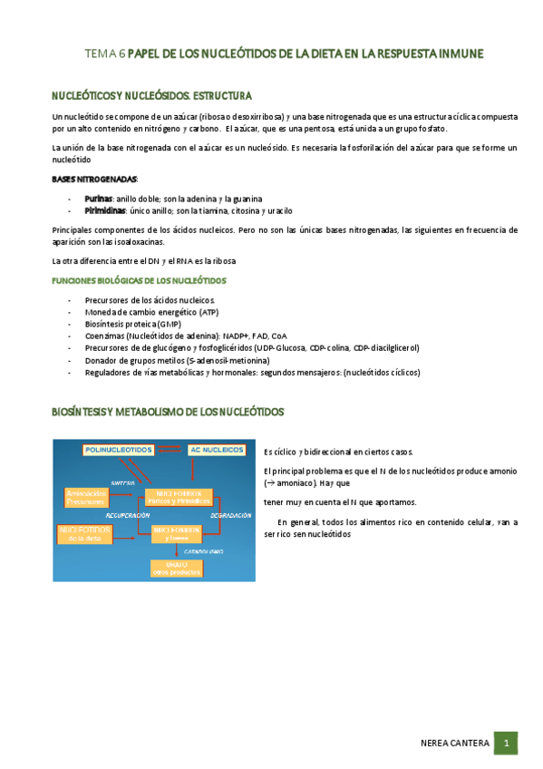 Miniatura del documento Tema-6-Nucleotidos.pdf