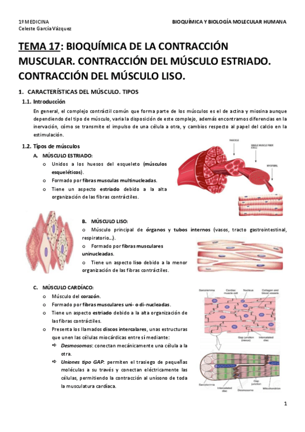 Miniatura del documento TEMA-17.pdf