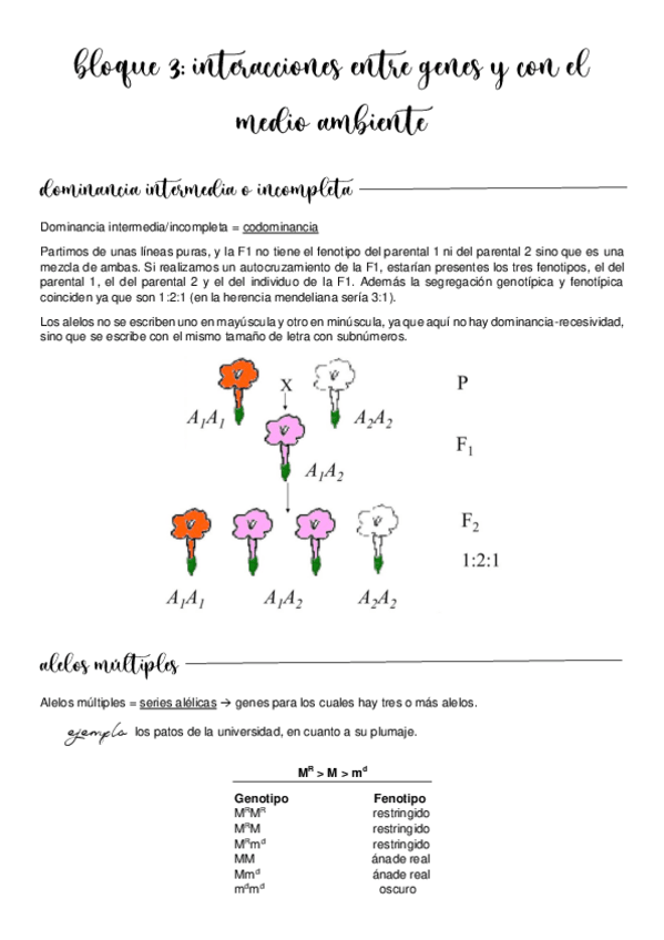 Miniatura del documento Bloque-3.pdf