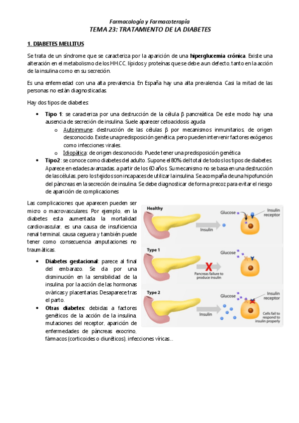Miniatura del documento TEMA-23-TRATAMIENTO-DE-LA-DIABETES.pdf