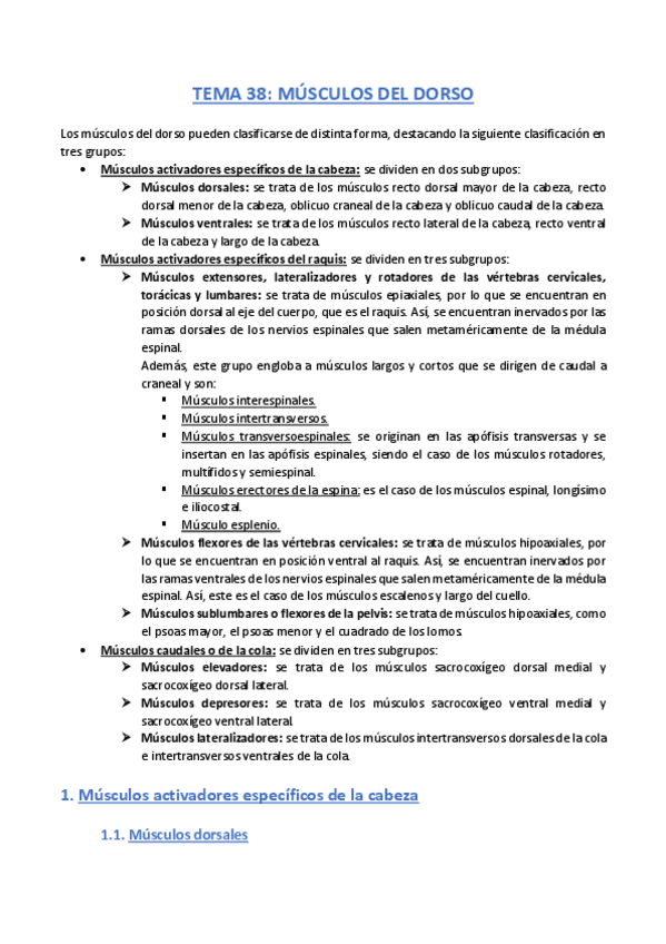 Miniatura del documento TEMA-38-Anatomia.pdf