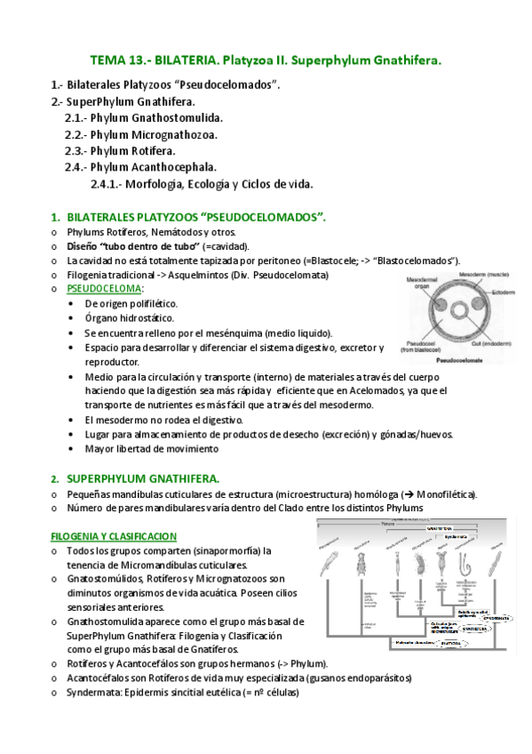 Miniatura del documento APUNTES-T.pdf
