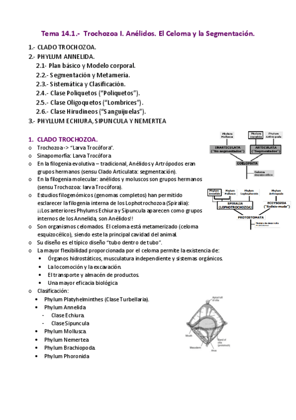 Miniatura del documento APUNTES-T.pdf