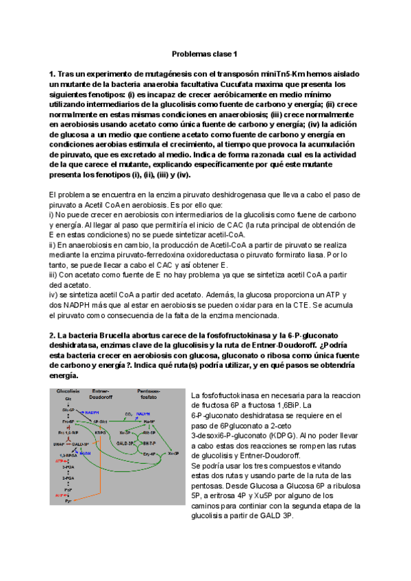 Miniatura del documento Clase-1.pdf