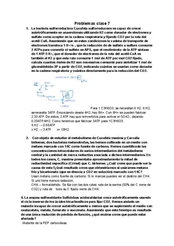 Miniatura del documento Clase-7.pdf