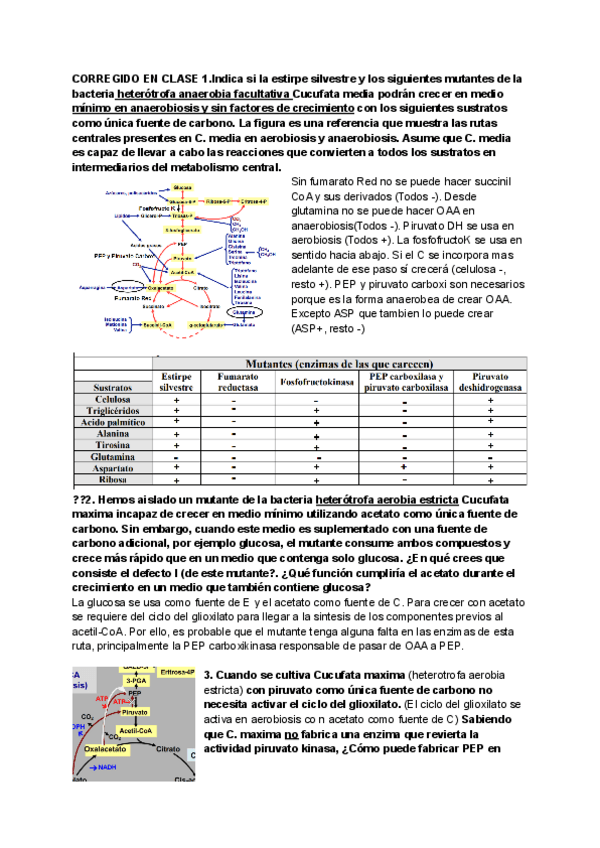 Miniatura del documento Clase-6-1.pdf