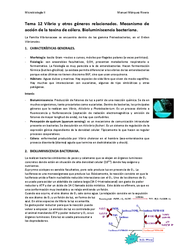 Miniatura del documento Tema 12.pdf