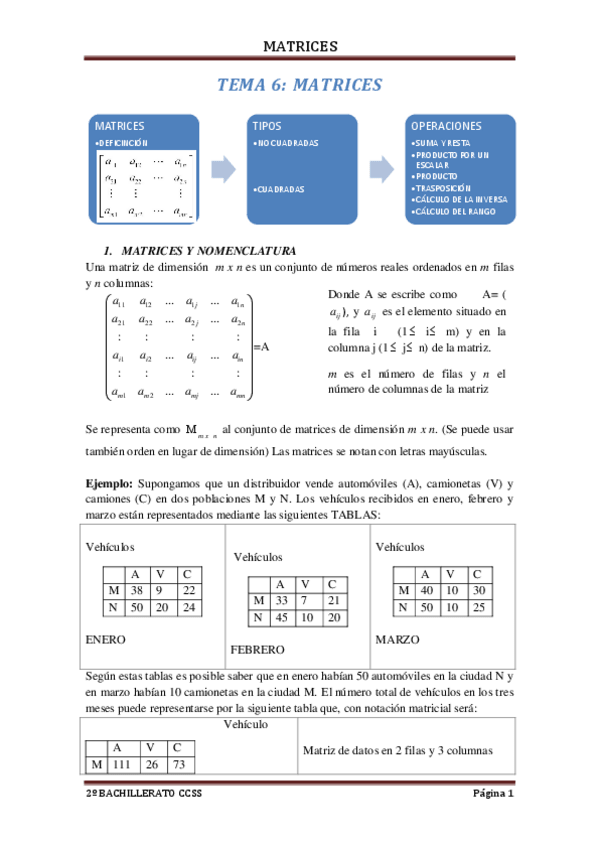 Miniatura del documento TEMA-6.pdf