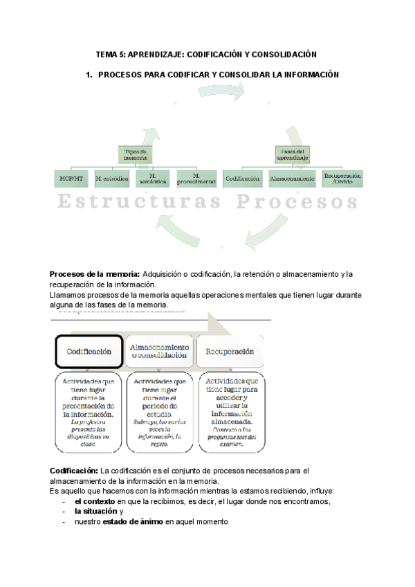 Miniatura del documento TEMA-5-APRENDIZAJE-CODIFICACION-Y-CONSOLIDACION.pdf