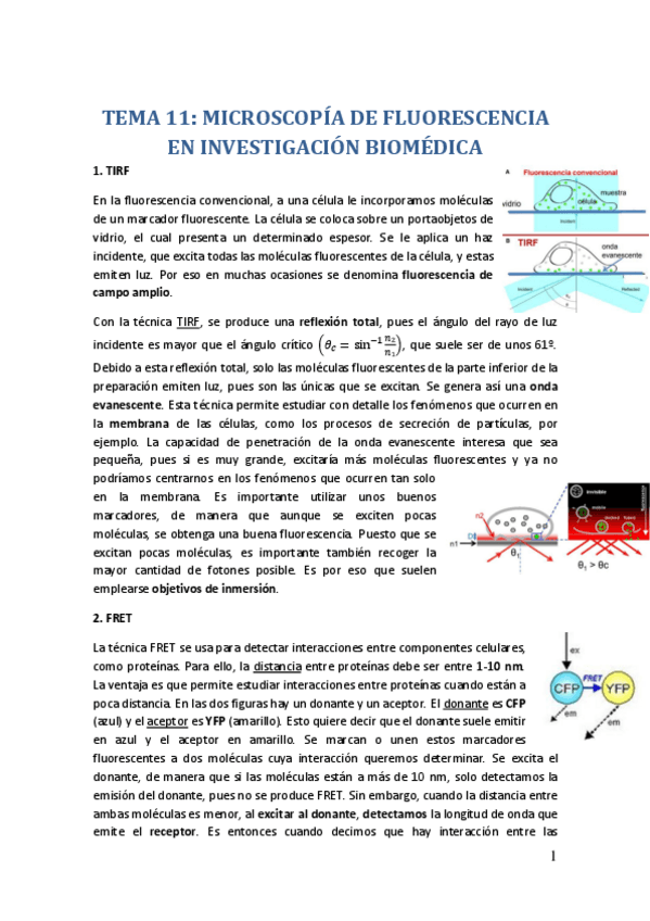 Miniatura del documento TEMA-11.pdf