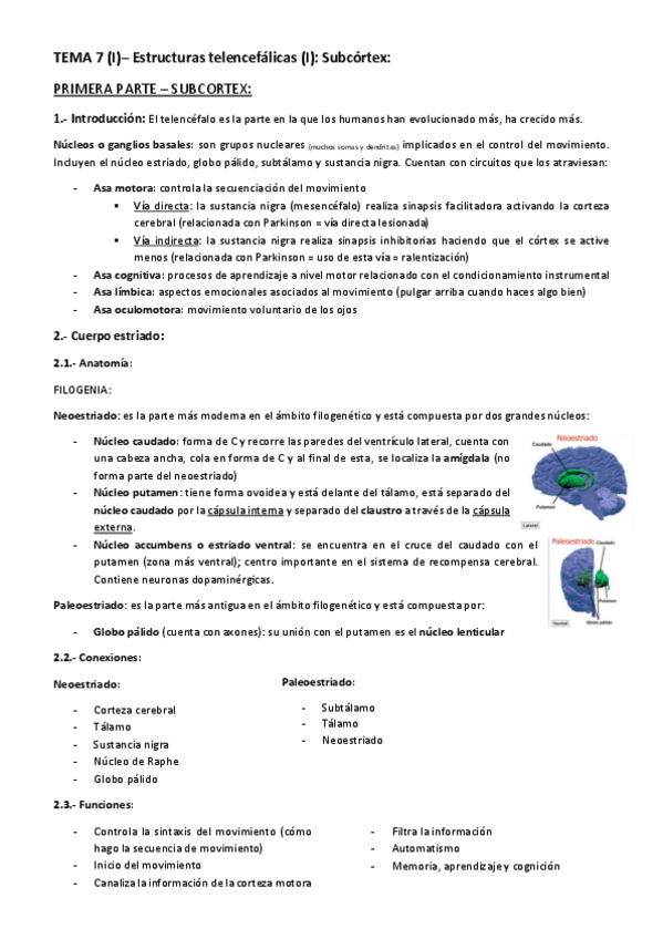 Miniatura del documento TEMA-7-Estructuras-telencefalicas.pdf