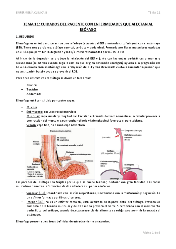 Miniatura del documento TEMA-11-CUIDADOS-DEL-PACIENTE-CON-ENFERMEDADES-QUE-AFECTAN-AL-ESOFAGO.pdf