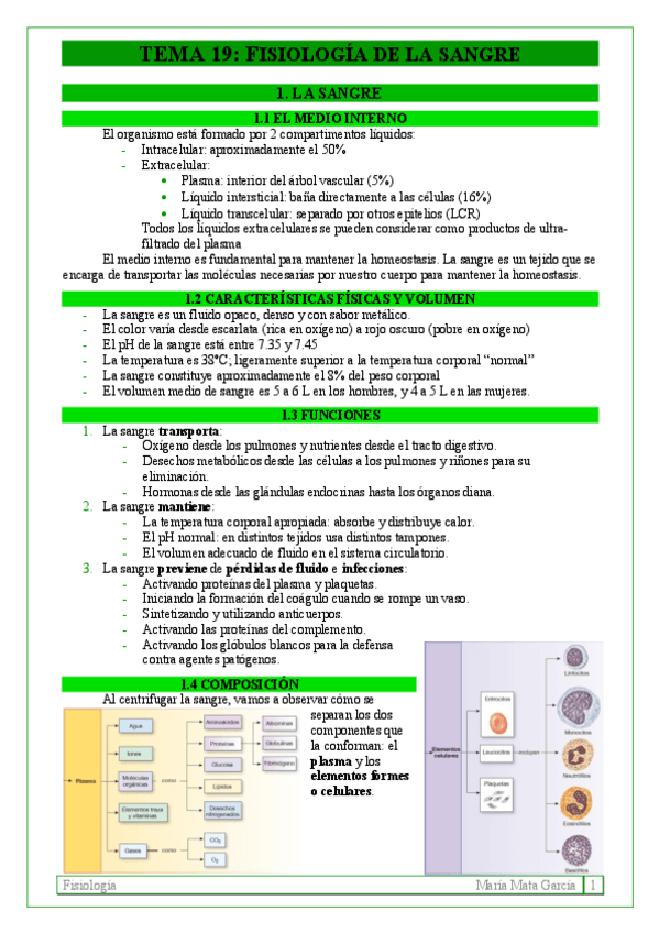Miniatura del documento TEMA 19. Fisiología de la sangre