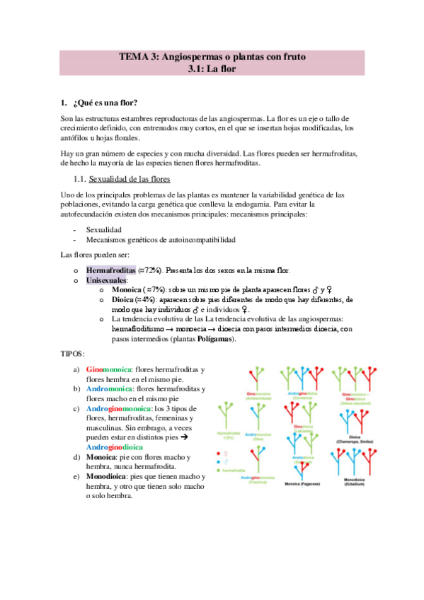 Miniatura del documento TEMA-3.pdf
