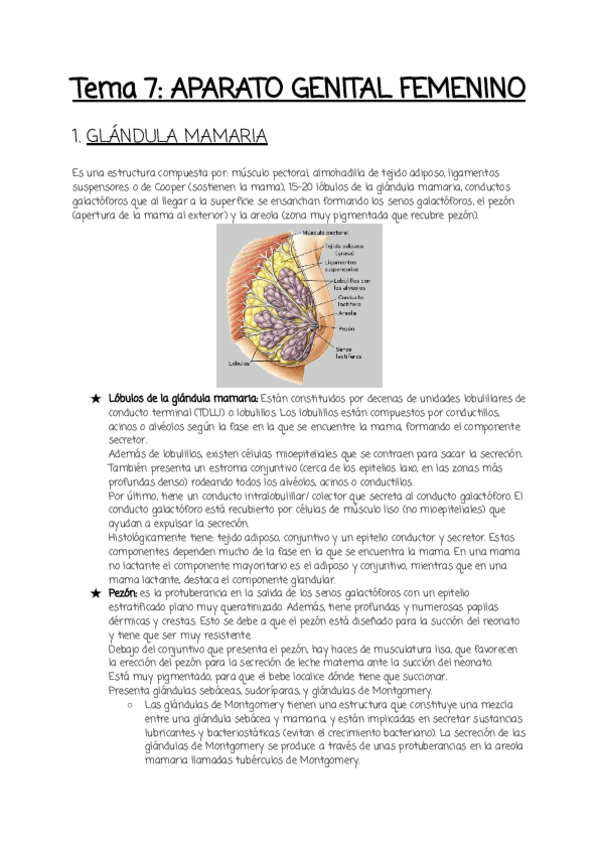 Miniatura del documento Tema-7-2.pdf
