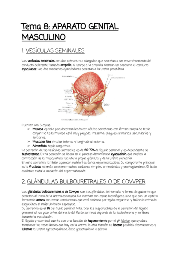 Miniatura del documento Tema-8-2.pdf