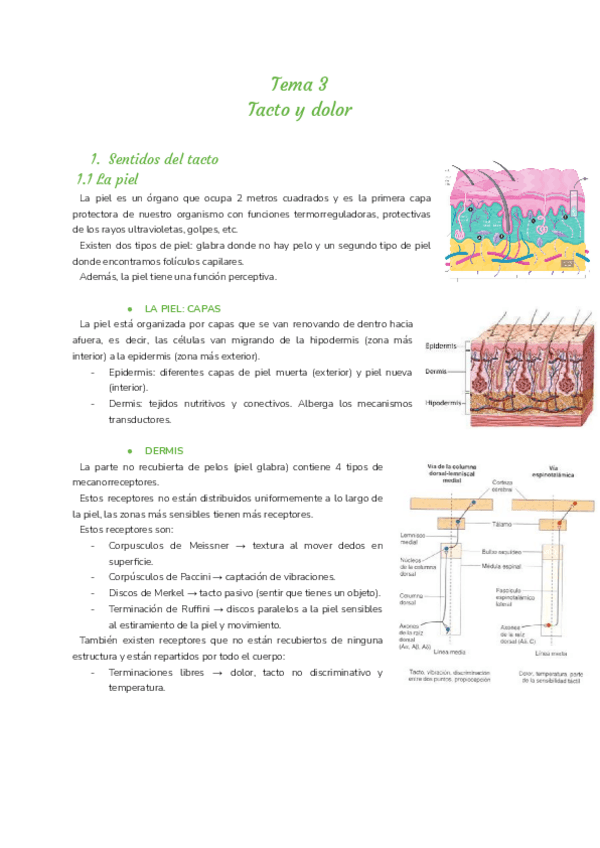 Miniatura del documento Tema-3.pdf