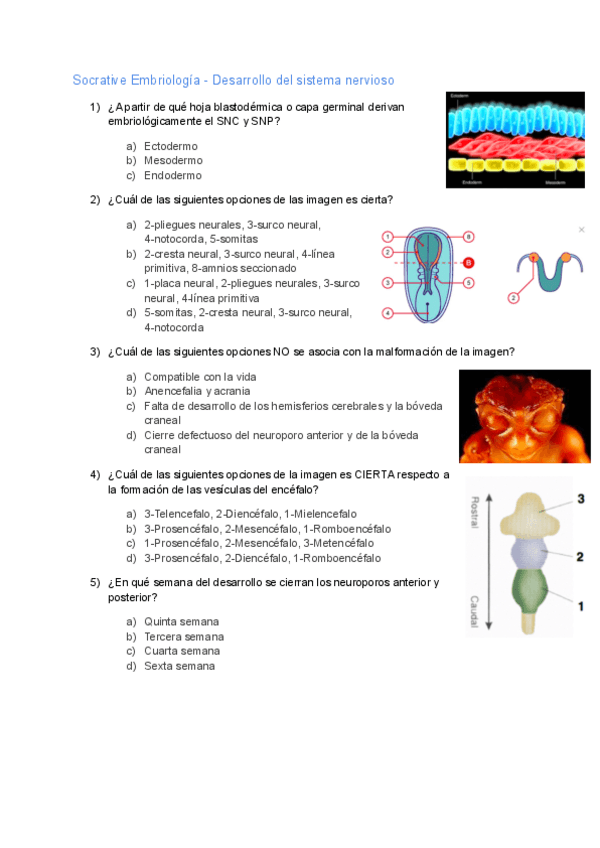Miniatura del documento Socrative-Zabaleta-2.pdf