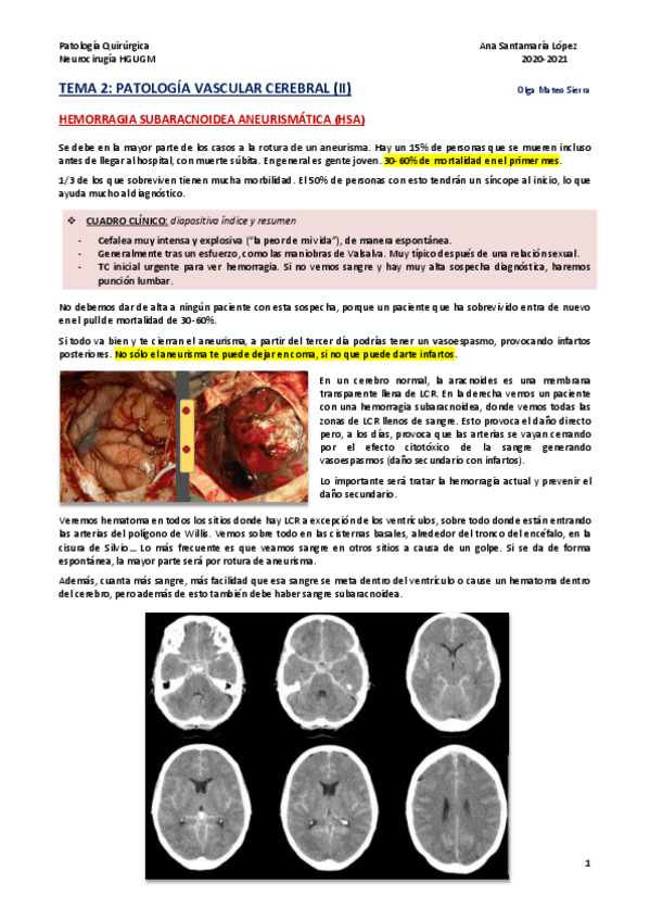 Miniatura del documento Tema-2-Patologia-vascular-cerebral-II.pdf