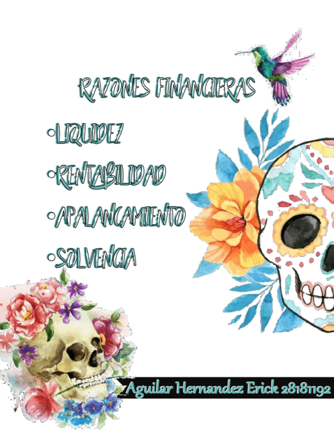 Miniatura del documento Razones-financieras.pdf