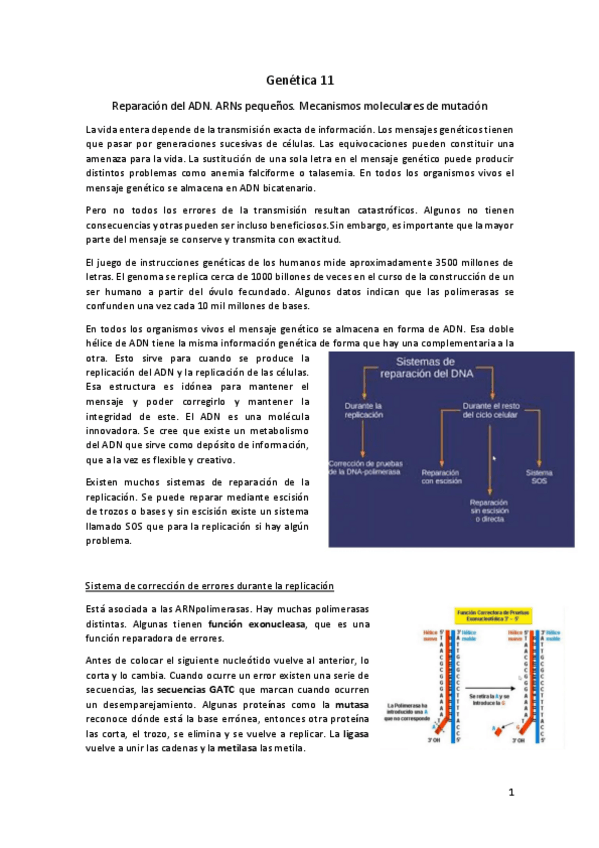 Miniatura del documento Genetica-11.pdf