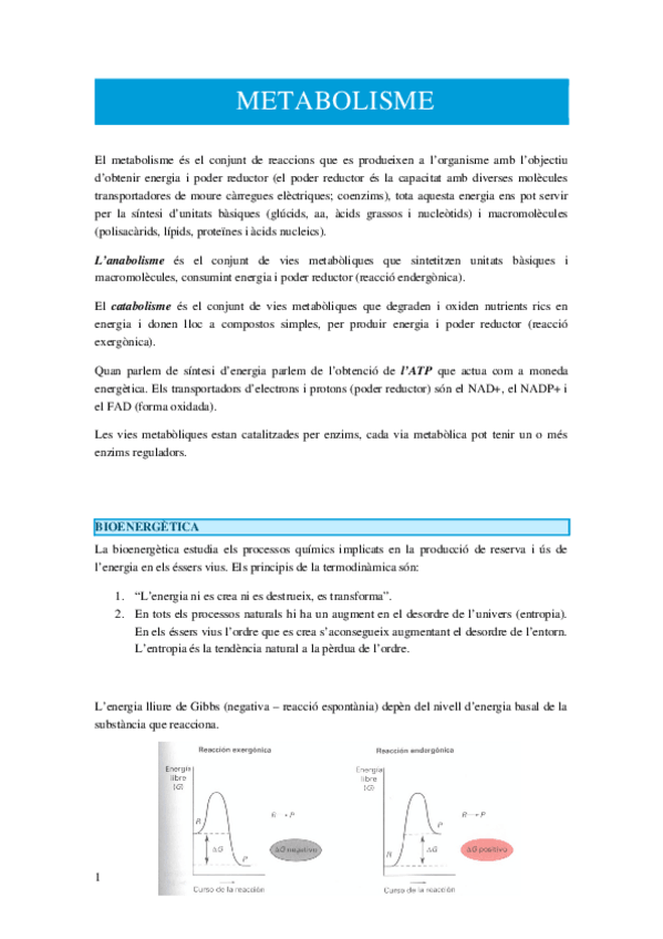 Miniatura del documento METABOLISME.docx