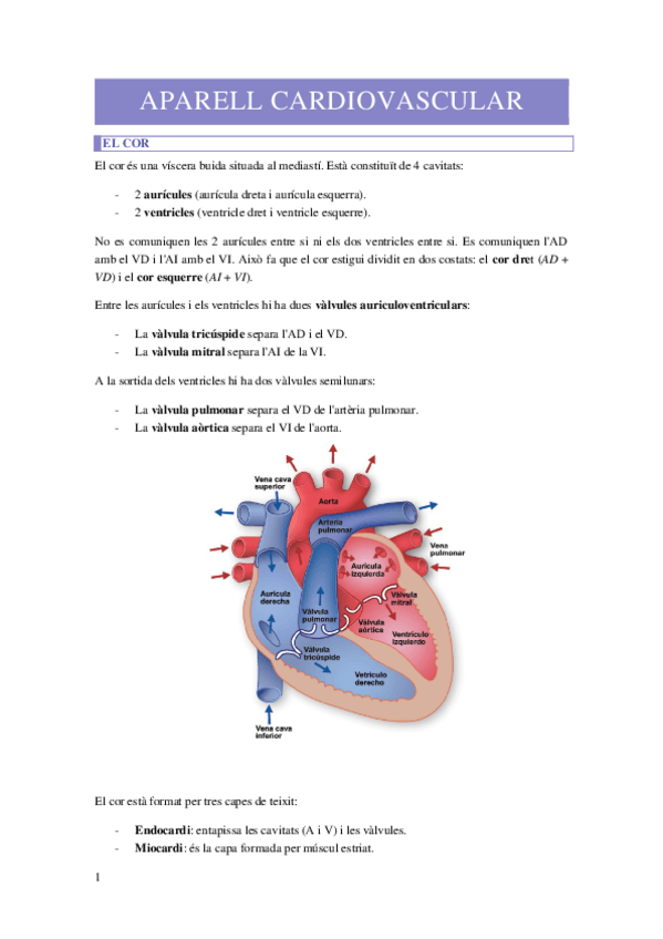 Miniatura del documento APARELL-CARDIOVASCULAR.docx