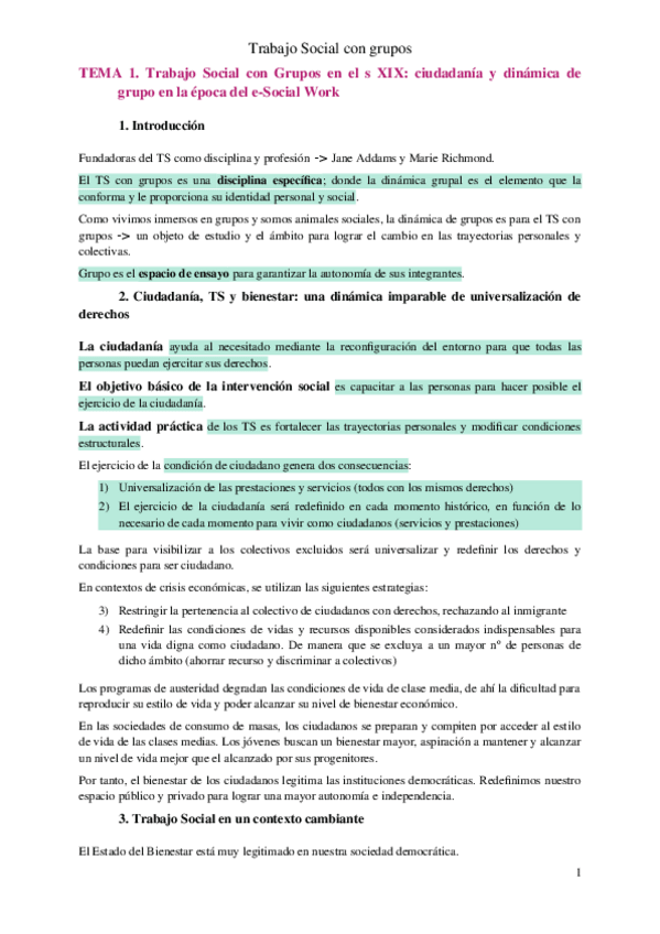 Miniatura del documento Resumen-TSG.docx