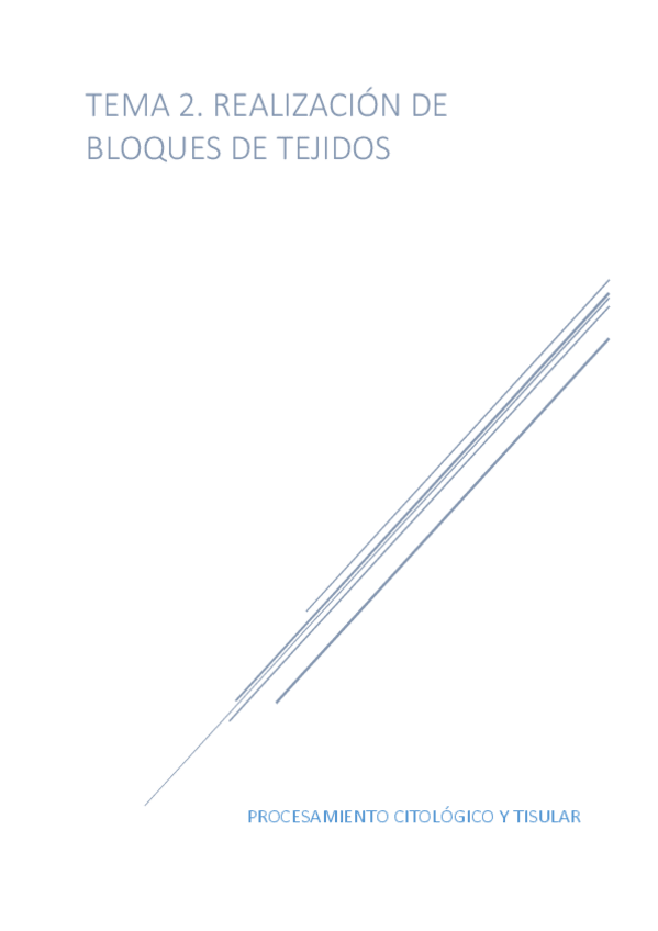 Miniatura del documento TEMA-2.pdf