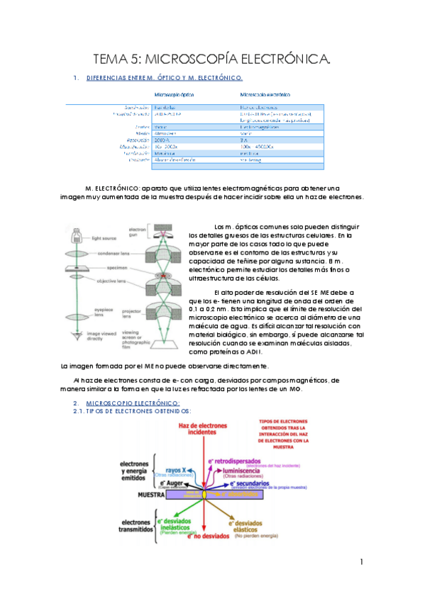Miniatura del documento TEMA-5.pdf