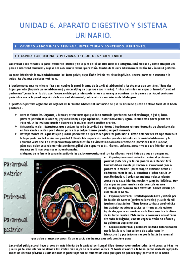 Miniatura del documento unidad-6-anatomia.pdf