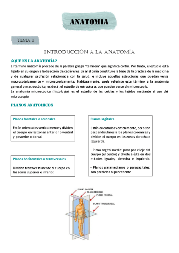 Miniatura del documento INTRODUCCION-A-LA-ANATOMIA.pdf
