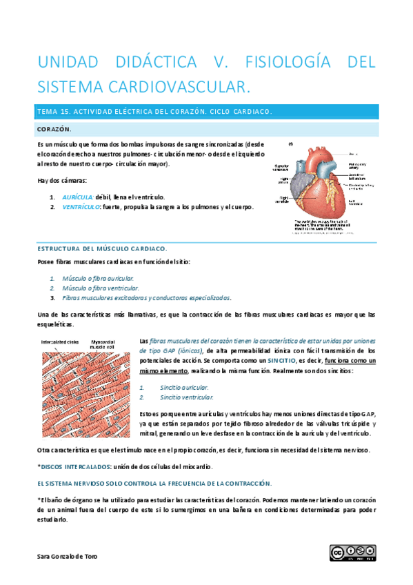 Miniatura del documento UNIDAD-DIDACTICA-V.pdf