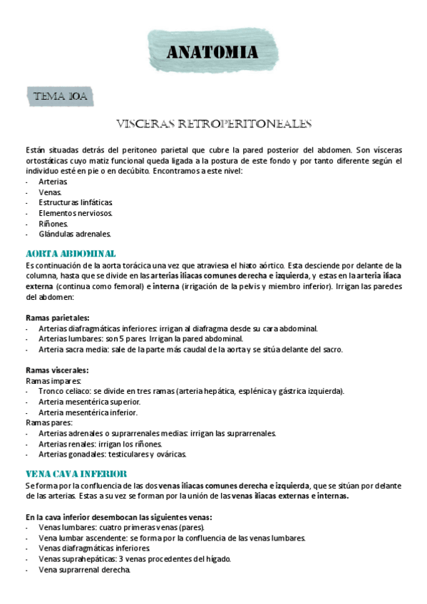 Miniatura del documento VISCERAS-RETROPERITONEALES.pdf